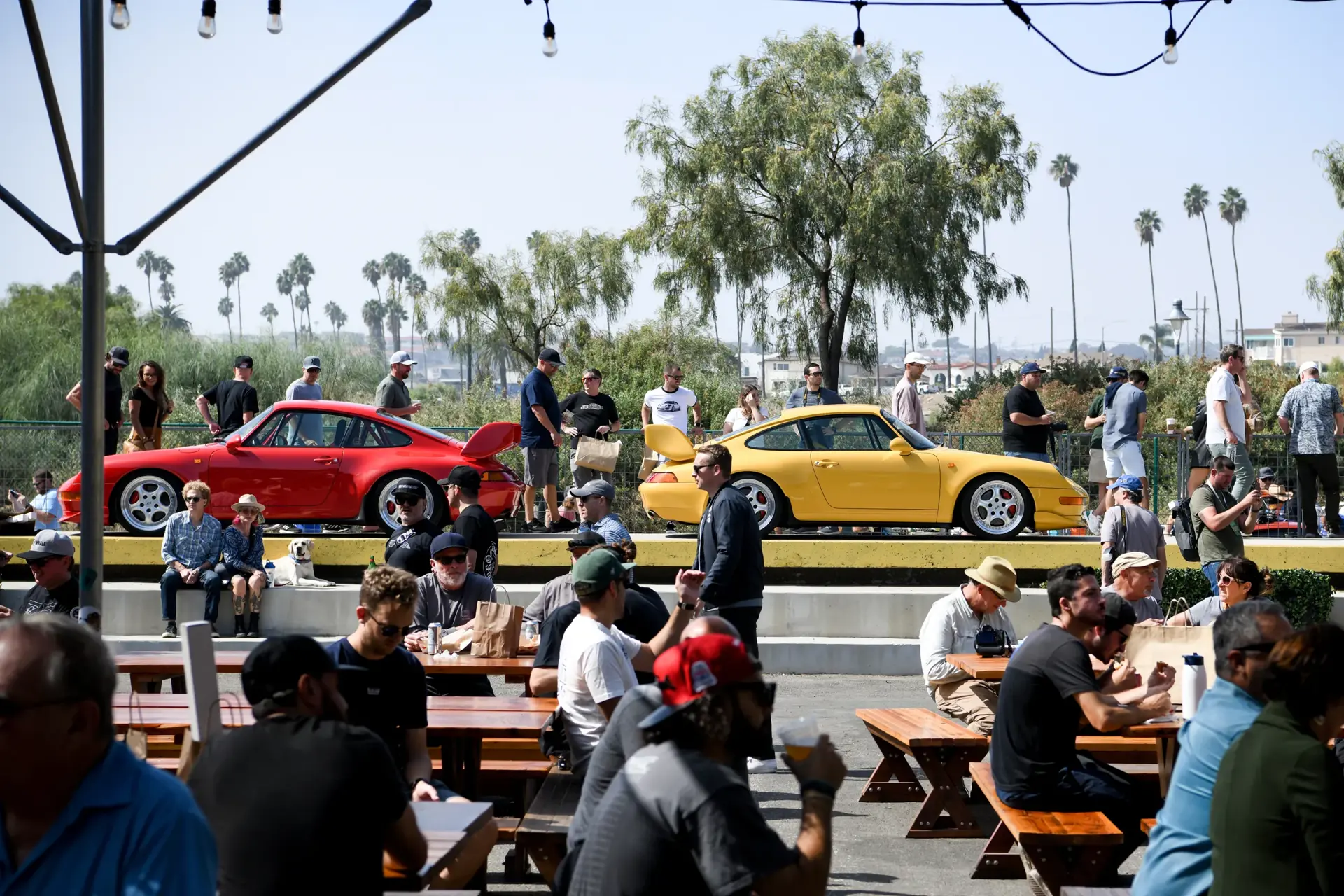 Folk samles omkring to klassiske Porsche-sportsvogne, en rød og en gul, ved et udendørs bilarrangement med bænke og palmer i baggrunden.
